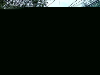 開放包容的國際能源合作平臺